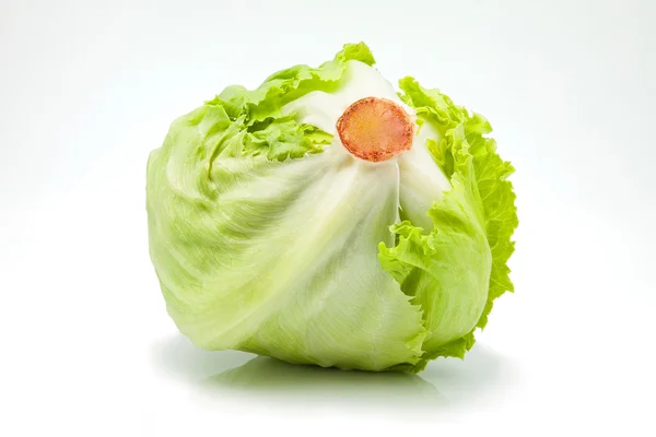 Eisbergsalat — Stockfoto