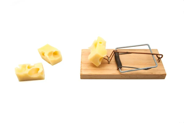 Mausefalle — Stockfoto