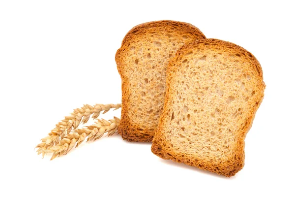 Dua potong roti panggang — Stok Foto