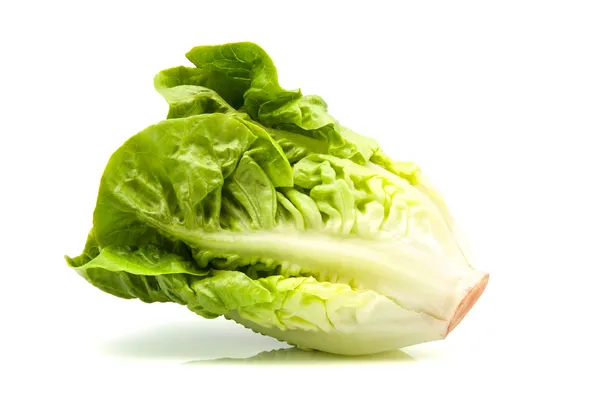 Romaine lettuce — Stock Photo, Image