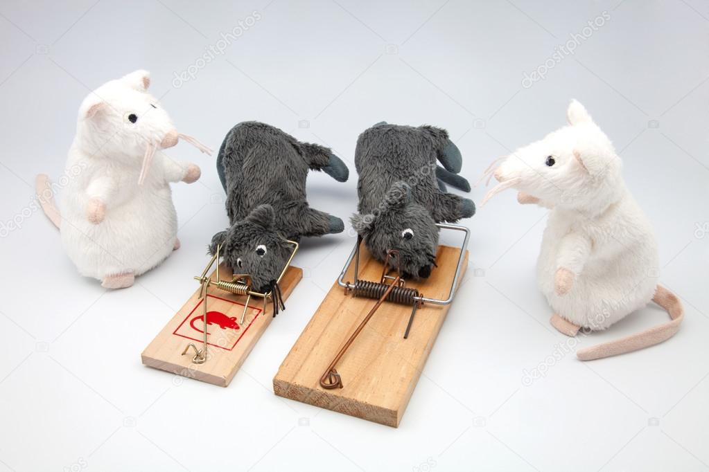 four mice