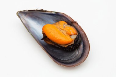 Midye