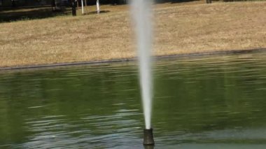 Coşkuyla akan güzel şelale.