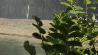 Coşkuyla akan güzel şelale.