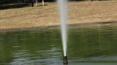 Coşkuyla akan güzel şelale.