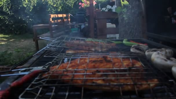 Delicious Spicy Fish Cooked Barbecue — Stockvideo