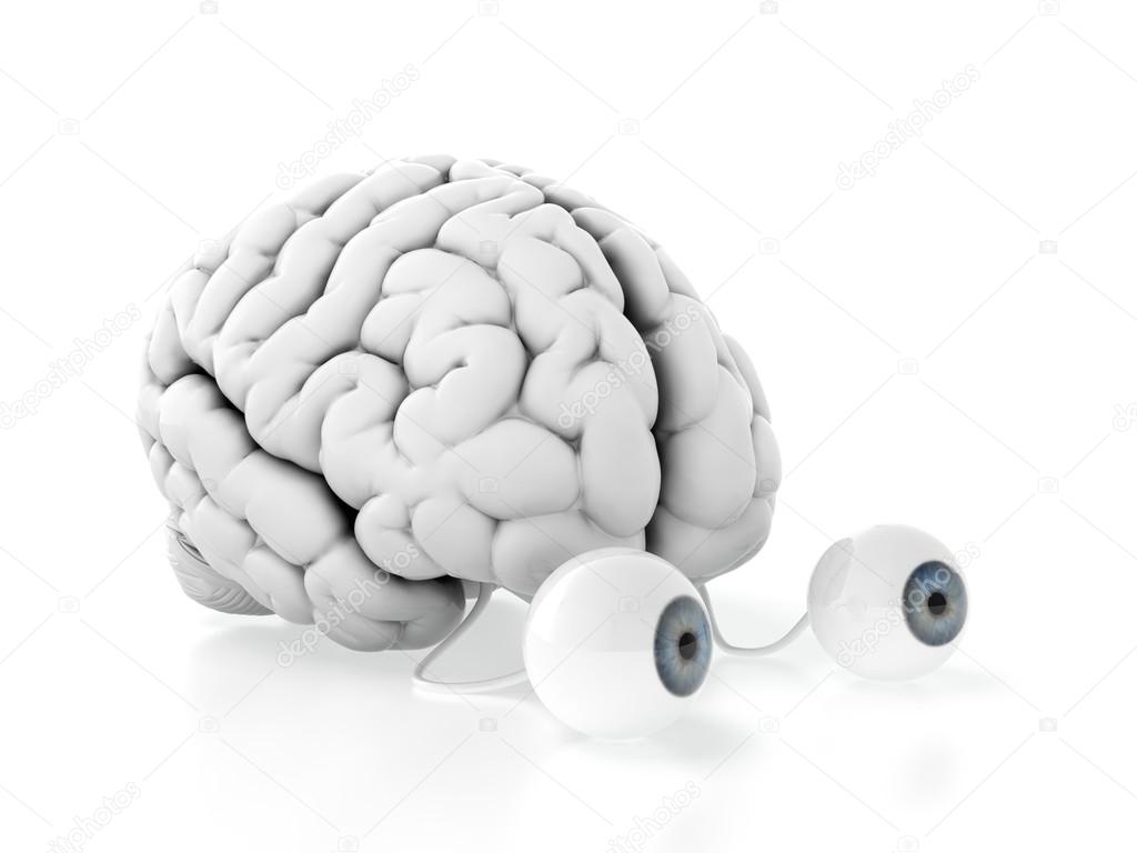 Brain with eyes