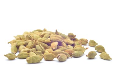 kakule tohumu beyaz zemin üzerine