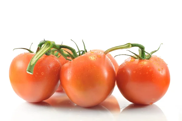 Borrifo e tomate sobre um fundo branco — Fotografia de Stock