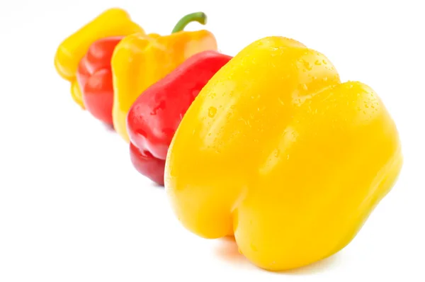 Pimentos multicoloridos sobre um fundo branco — Fotografia de Stock