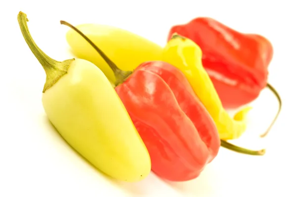 Multi-colored peppers on a white background — Stock Photo, Image