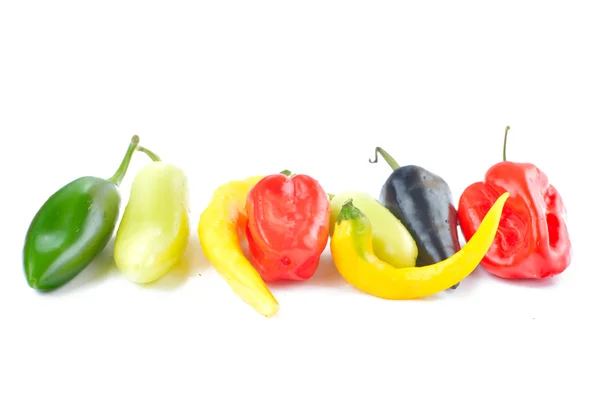 Peperoni multicolori su sfondo bianco — Foto Stock