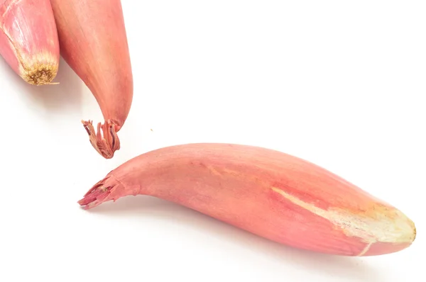 Shallot onions on a white background — Stock Photo, Image