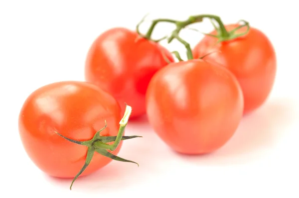 Borrifo e tomate sobre um fundo branco — Fotografia de Stock