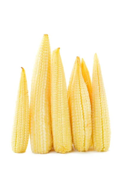 Baby kukuřice na bílém pozadí — Stock fotografie