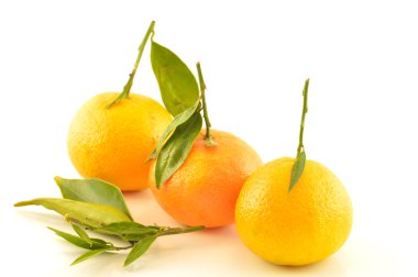 Beyaz arka planda yaprakları olan mandalina