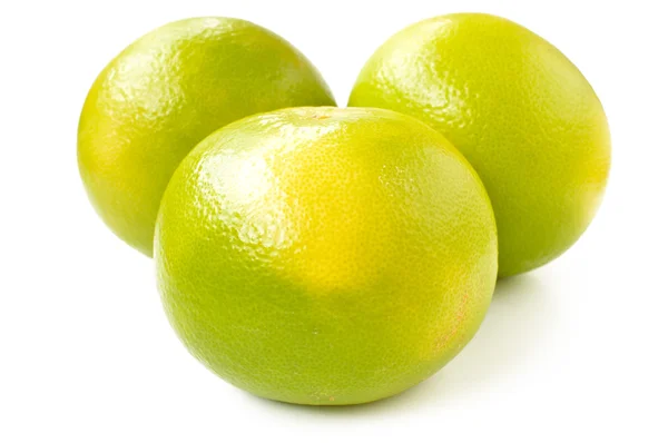 Citrus sveetie sobre um fundo branco — Fotografia de Stock