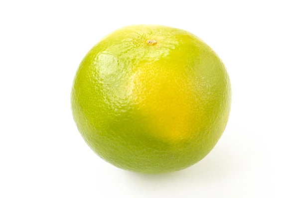 Citrus sveetie sobre un fondo blanco —  Fotos de Stock