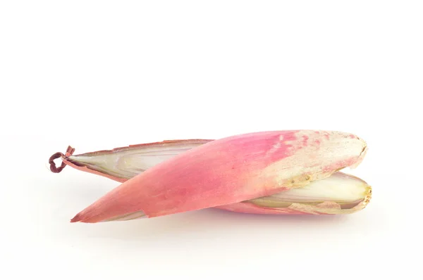 Shallot onions on a white background — Stock Photo, Image