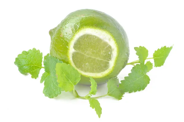 Färsk lime med citron mynta — Stockfoto