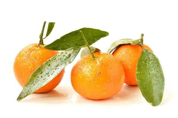 Tangerine with leaves on a white background Stock Image