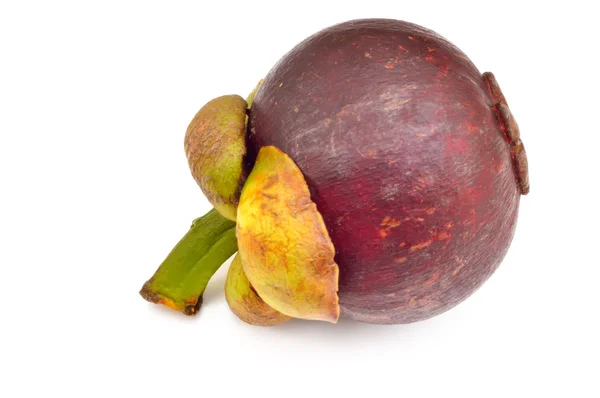 Paarse mangosteen op een witte achtergrond — Stockfoto