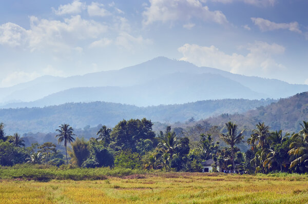 North of Thailand