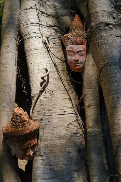 Kopf in Baum — Stockfoto