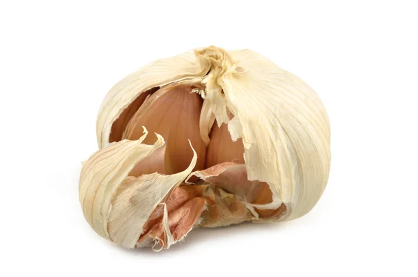 Head of garlic on a white background — Stock Photo, Image