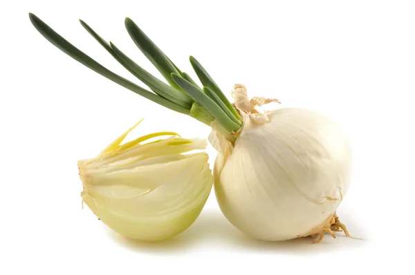 Witte uien — Stockfoto