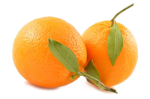 Соковитий апельсин на білому фоні — стокове фото