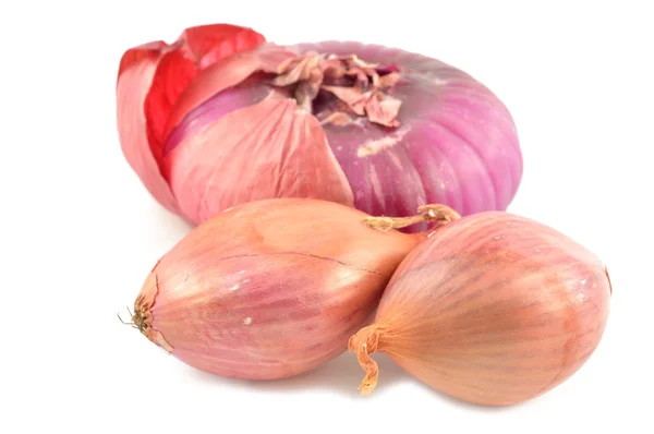 Shallot onions on a white background — Stock Photo, Image