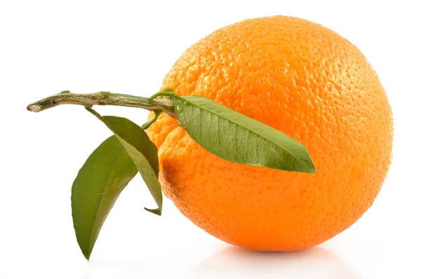 Соковитий апельсин на білому фоні — стокове фото