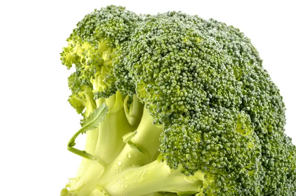 Fresh broccoli on a white background — Stock Photo, Image