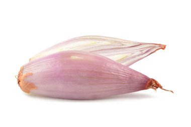 Beyaz bir arka planda soğancık soğan