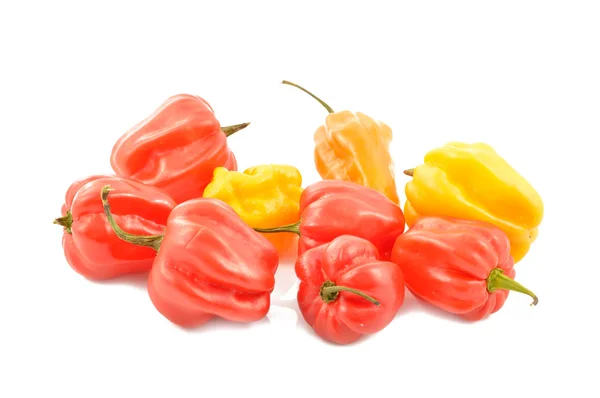 Scotch bonnet peppers (chili) — Stock Photo, Image