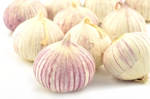 Chinese garlic (solo) on a white background — Stock Photo, Image