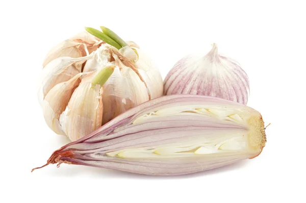 Scalogno e aglio su fondo bianco — Foto Stock