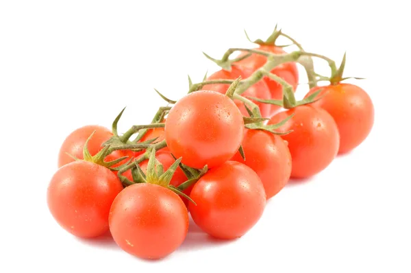 Cherry tomatoes on a branch — Stock Photo, Image