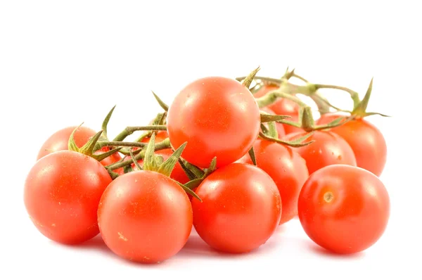 Tomates cherry en una rama —  Fotos de Stock