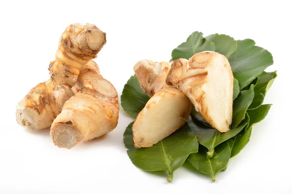 Galangal root, kaffir lime leaves Royalty Free Stock Images