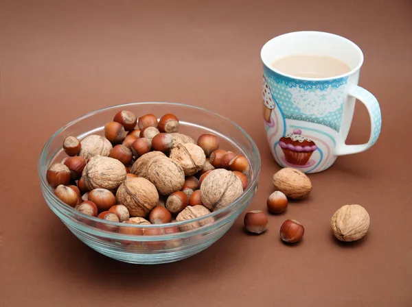 Nueces y avellanas — Foto de Stock