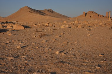 Palmyra and desert clipart