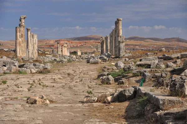 Vy över Apamea (Afamia) — Stockfoto