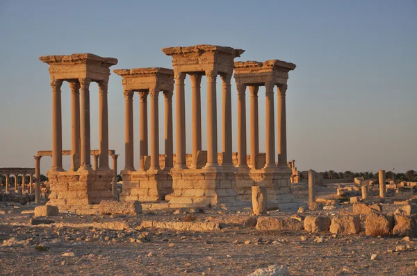 Palmyra ruiner — Stockfoto