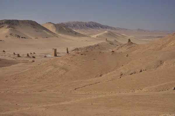 Palmira e deserto — Foto Stock