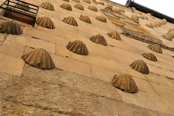 Casa de las conchas Salamanca — Stok fotoğraf