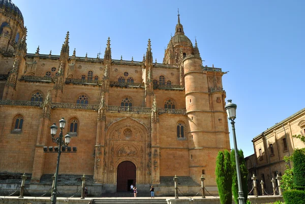 New Cathedral of Salamanca — Stock Photo, Image