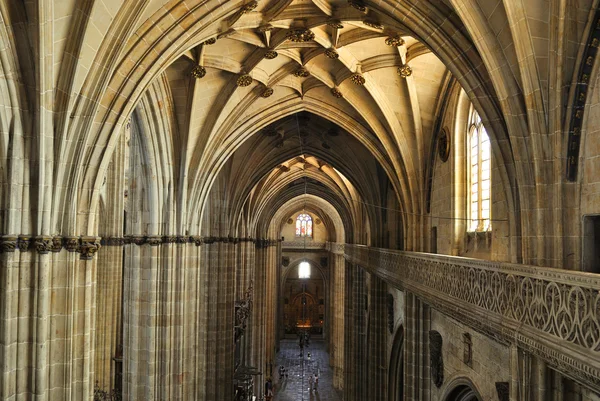 Belső tér a székesegyház, Salamanca — Stock Fotó