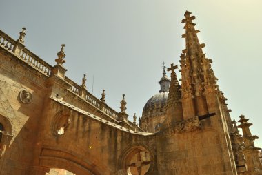 Cathedralof Salamanca